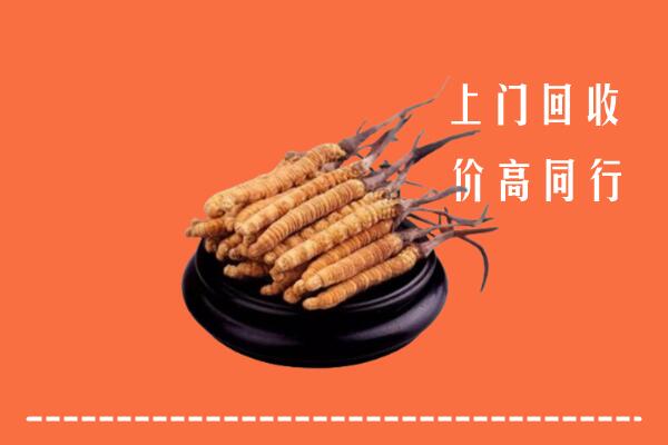 高价求购：东城回收散虫草