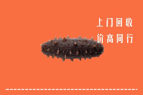 东城回收海参