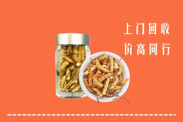 东城回收冬虫夏草