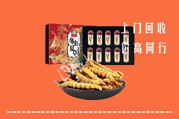 东城回收虫草
